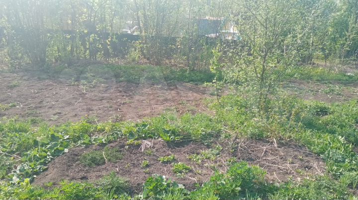 Дача 28 м² на участке 10 сот.