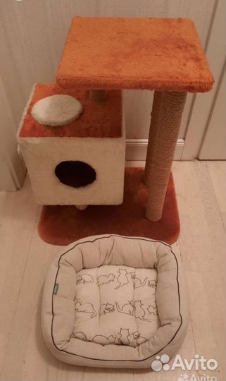 Домик, когтеточка,переноска, лежак,миски, туалеты