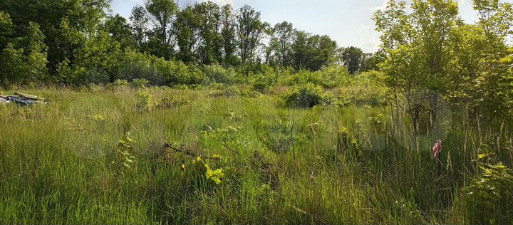 Участок 22 сот. (ИЖС)