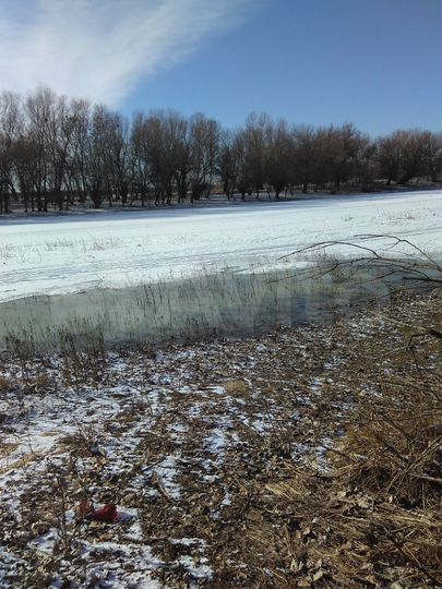 Участок 6,5 сот. (ИЖС)