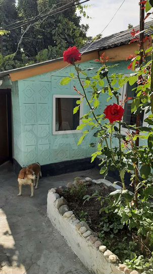 Дом 70 м² на участке 2 сот.