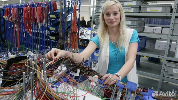 Сборщик схемных жгутов без опыта вахта