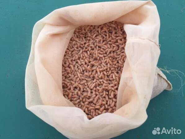 Опарыш литрами