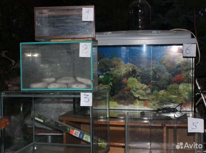 Аквариум-террариум