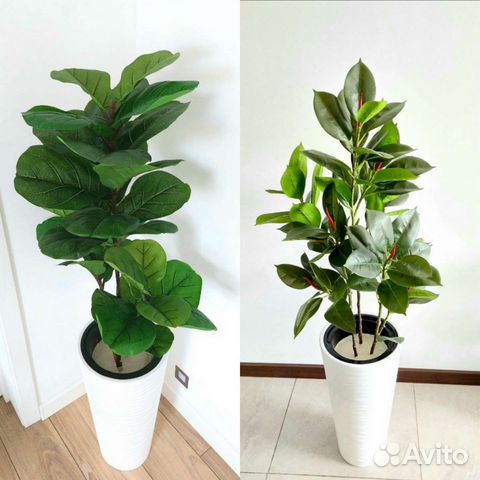 Искусственное дерево растение фикус