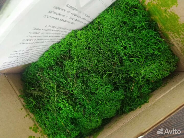 Стабилизированный мох