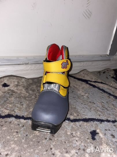 Лыжные ботинки