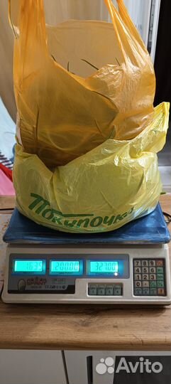 Черемша чеснока свежая