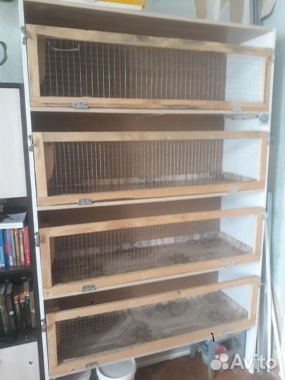 Стеллаж для морских свинок. Торг
