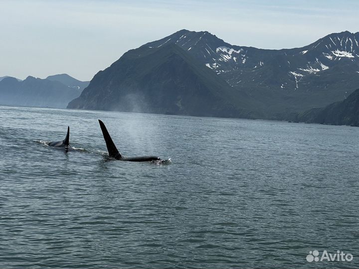 Бухта Русская,морская прогулка за 5 часов