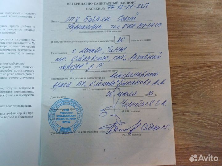 Пчелопакеты карника,бакфаст