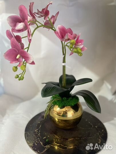 Орхидея в горшке