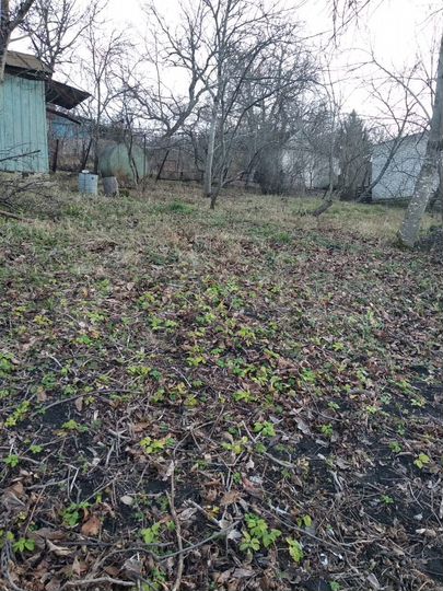 Участок 6 сот. (СНТ, ДНП)