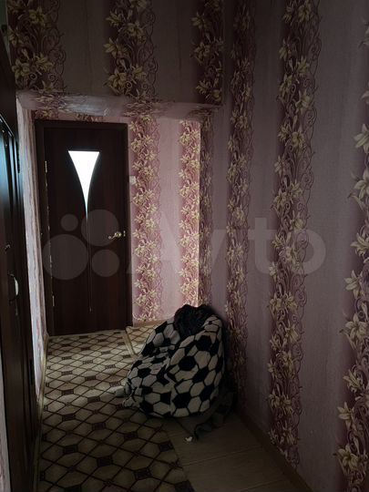 2-к. квартира, 58 м², 1/2 эт.
