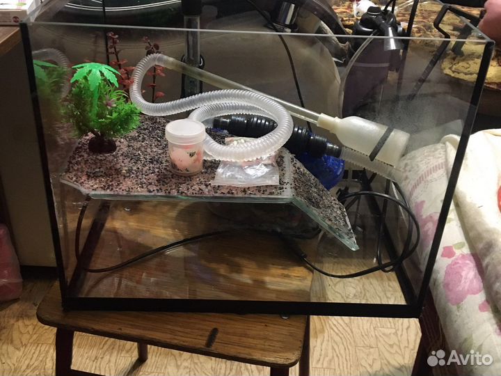Аквариум для красноухой черепахи