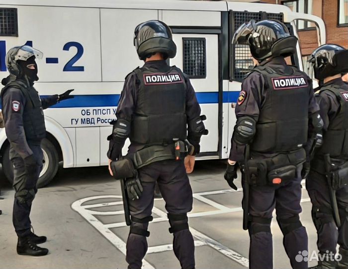 Полицейский полка полиции