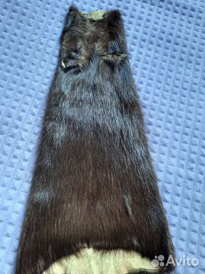 Шкурка животного