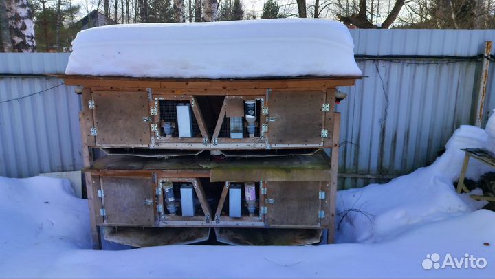 Клетка для кролика