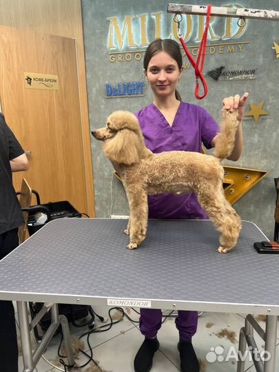 Стрижка собак,кошек, животных,грумер