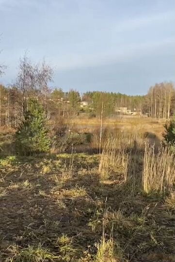 Участок 19 сот. (СНТ, ДНП)