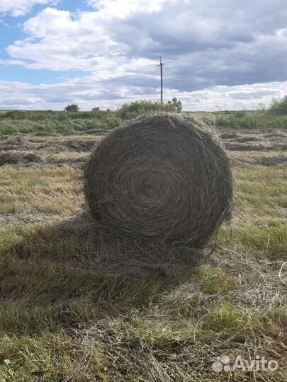 Сено в руллонах