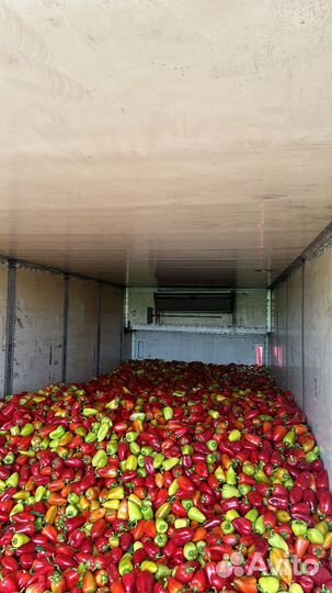 Перец (полёт) 60 % красный. Объём