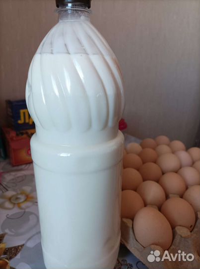 Молоко коровье домашнее