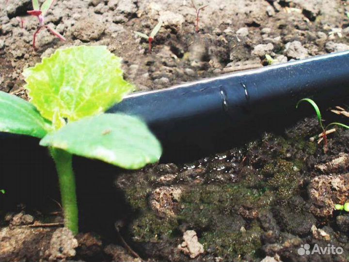 Капельный полив от башагропласт