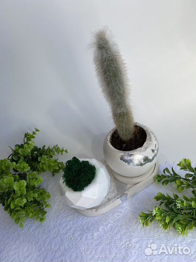 Изделия из гипса