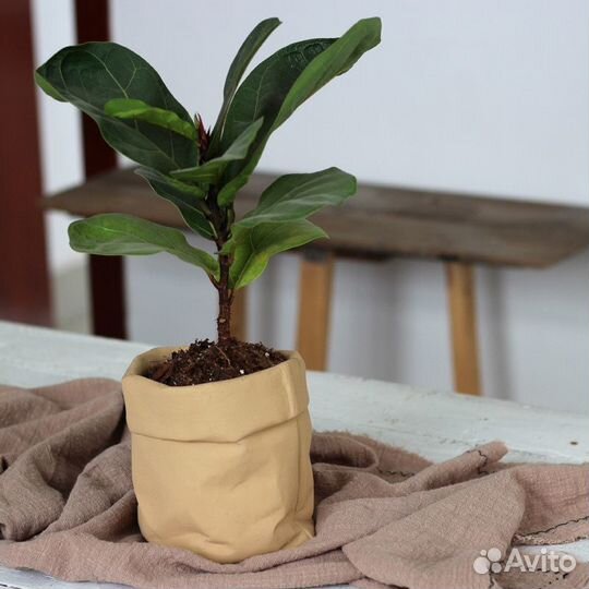 Кашпо оригинальное