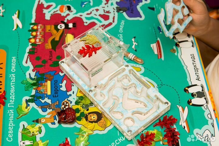 Ферма с муравьями / Формикарий