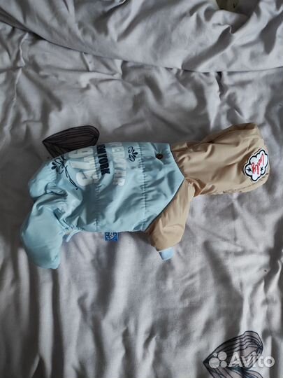 Одежда для маленьких собак