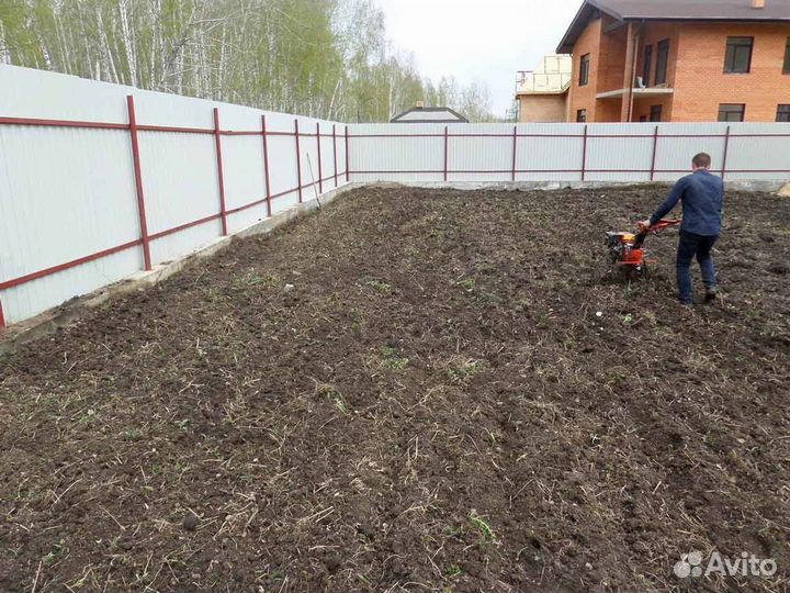 Посевной газон под ключ