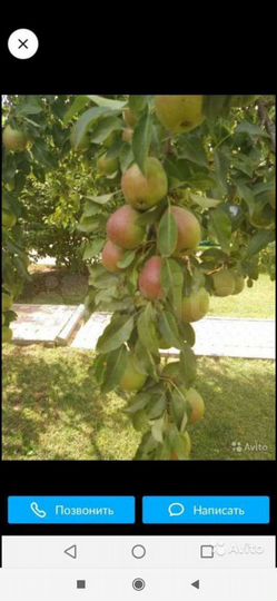 Дача 25 м² на участке 8 сот.