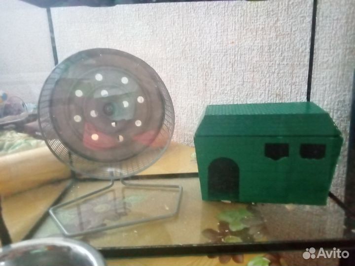 Набор для хомяка