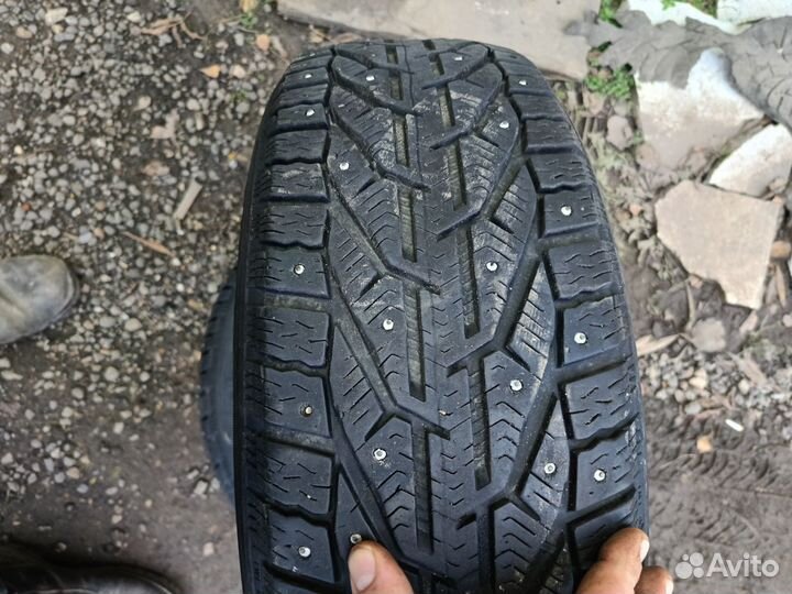 Tigar Ice 205/55 R16