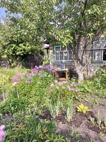 Дача 24 м² на участке 6,5 сот.