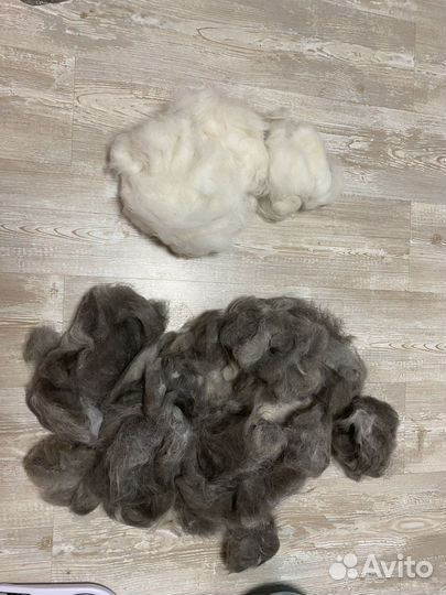 Собачья шерсть пух чистокровной якутской лайки