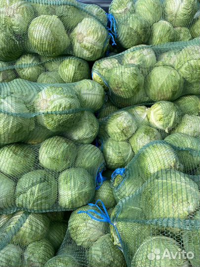 Капуста молодая