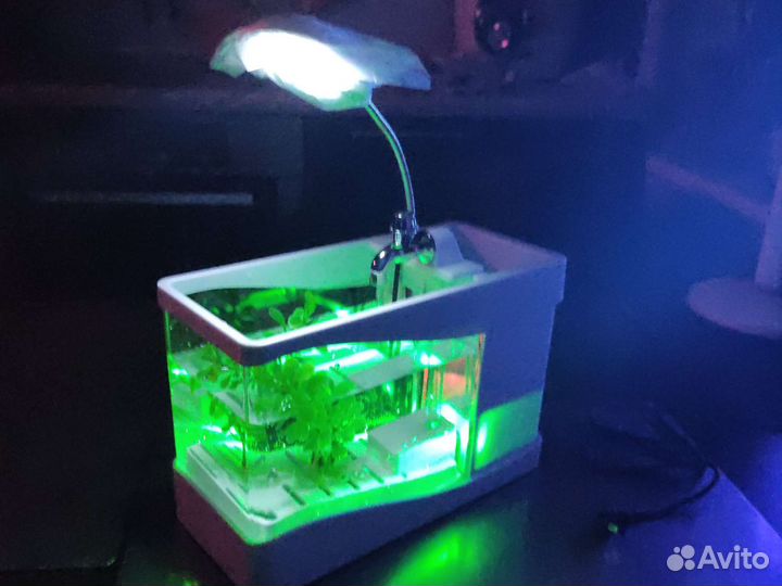 Аквариум
