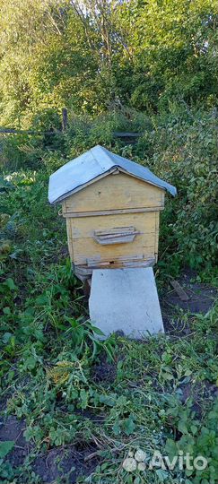 Ульи для пчел