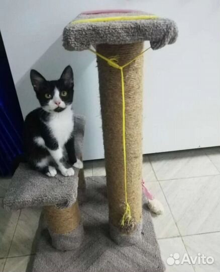 Супер ласкуша Мила