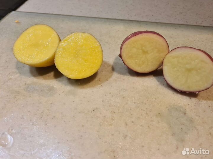 Картофель оптом от производителя