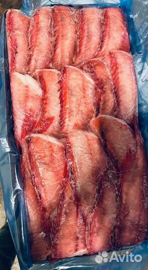 Морской окунь