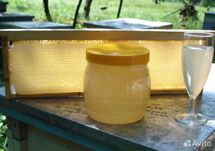 Пчелы, пчелопакеты, пчелосемьи на высадку