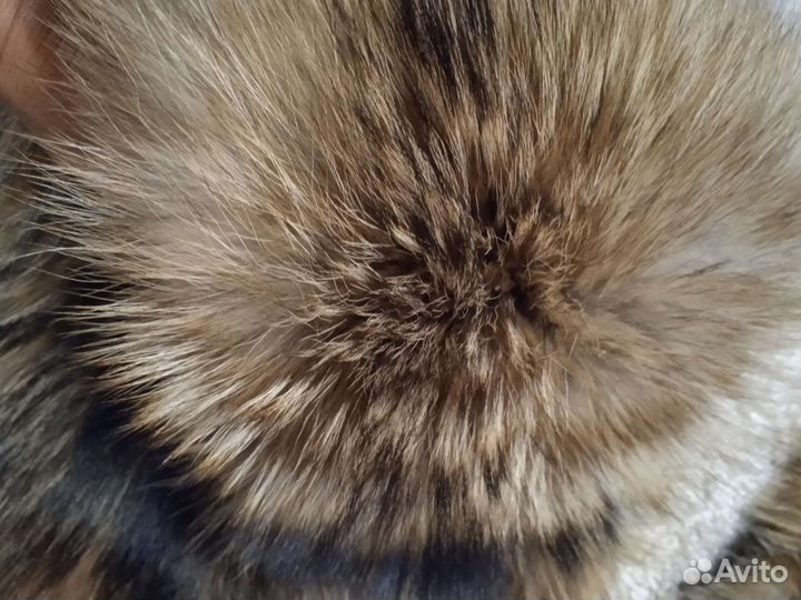 Опушки на капюшон из мех енота