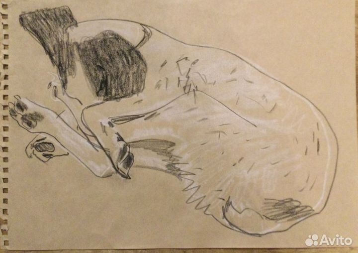 Рисунок собаки