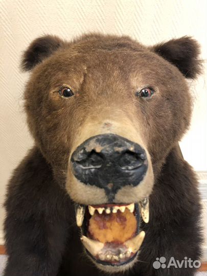 Медведь искусственный