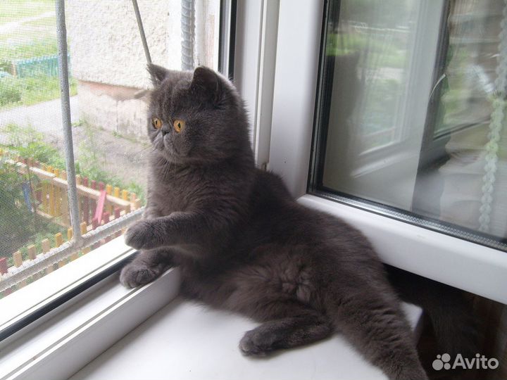 Москитные сетки