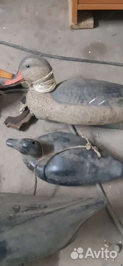 Утки подсадные для охоты